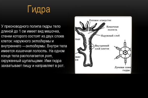 Ссылка для входа на сайт kraken