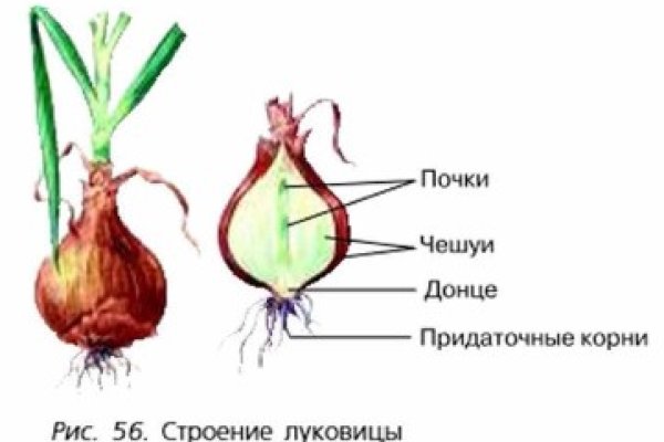 Kraken12 at сайт